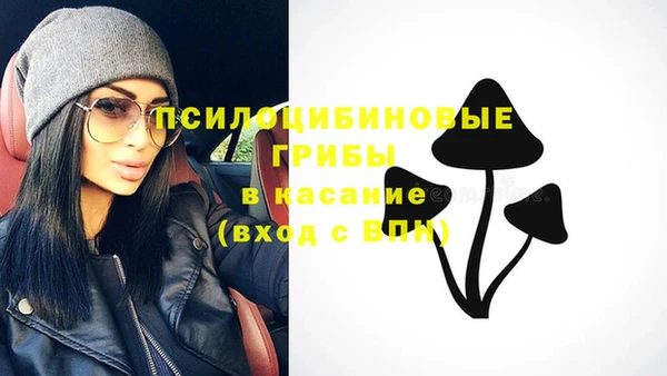 прущие крисы Сосновка