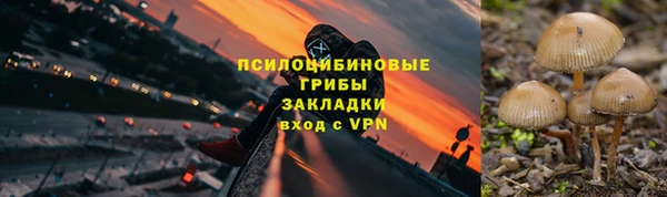 хмурый Белокуриха