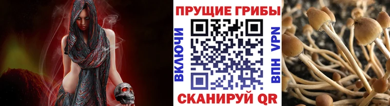 Псилоцибиновые грибы прущие грибы  Кремёнки 